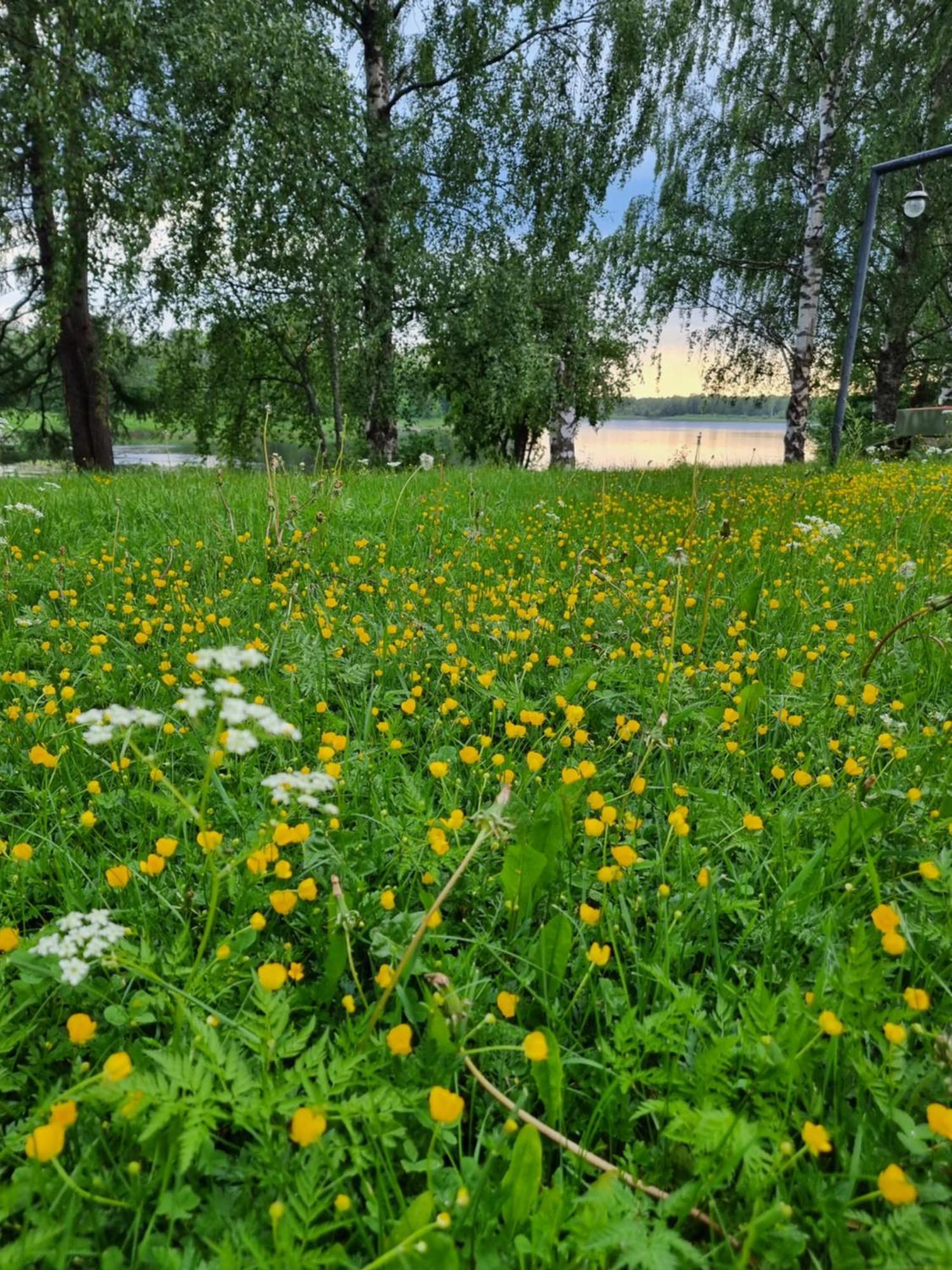 Wanha kunnantalo Pudasjarvi Exterior foto